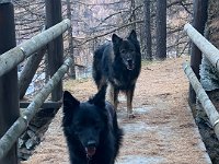 Gitan und Shani